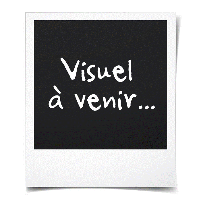 Carte anniversaire Garfield Viva ton anniversaire  Achat / Vente carte