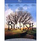 DVD FILM Blu-Ray Big fish