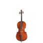 INSTRUMENTS A CORDES STAGG - Vnc-1/2 - Autre Instrument - Violoncelle 
