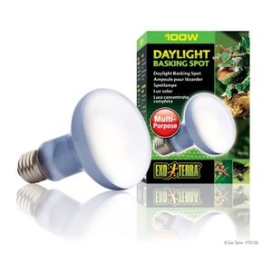 DAYLIGHT BASKING SPOT ampoule 100 W