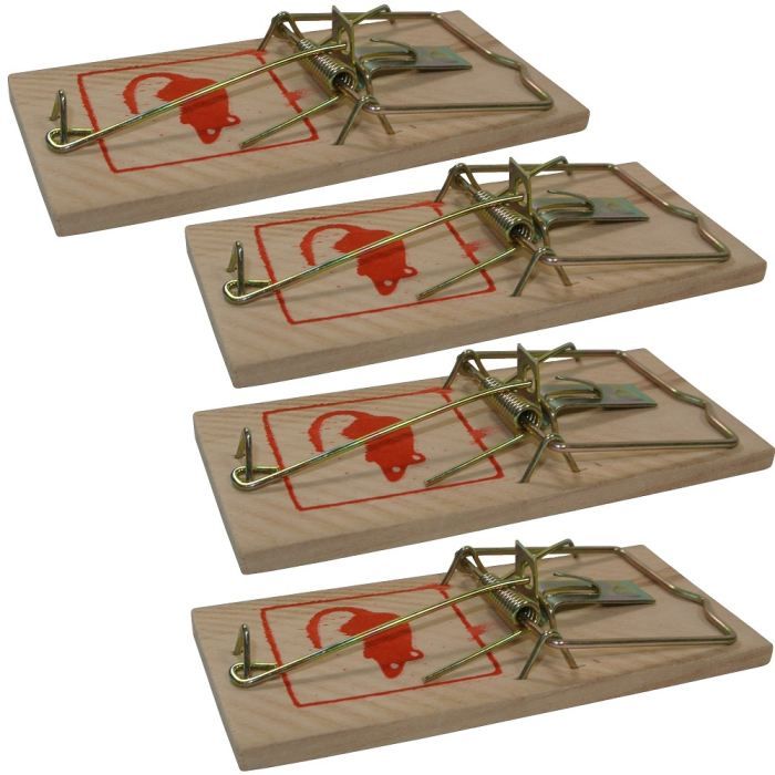 lot-4-pieges-a-souris-attra%E2%80%A6.jpg