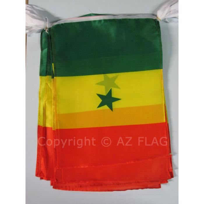 de 12 mètres de longueur avec 20 drapeaux du Sénégal est réalisé
