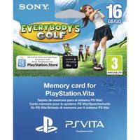  CARTE MÉMOIRE 16 GO + EVERYBODY'S GOLF VOUCHER