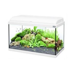 Aquatlantis Aquarium aquadream 60 blanc - Achat / Vente ...