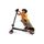 VEHICULE ENFANT Razor Trotinette Powerwing Noire et Rouge