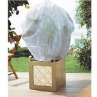 PAILLAGE - VOILE - PROTECTION CULTURE COGEX Voile hivernage blanc 2x5m