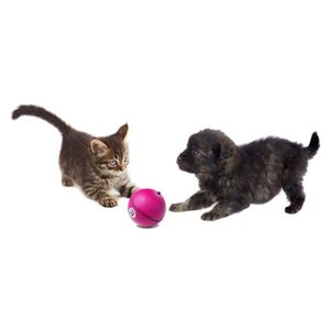 D&D Adventure Magic Balle - ?8cm - Rose - Pour chien et chat