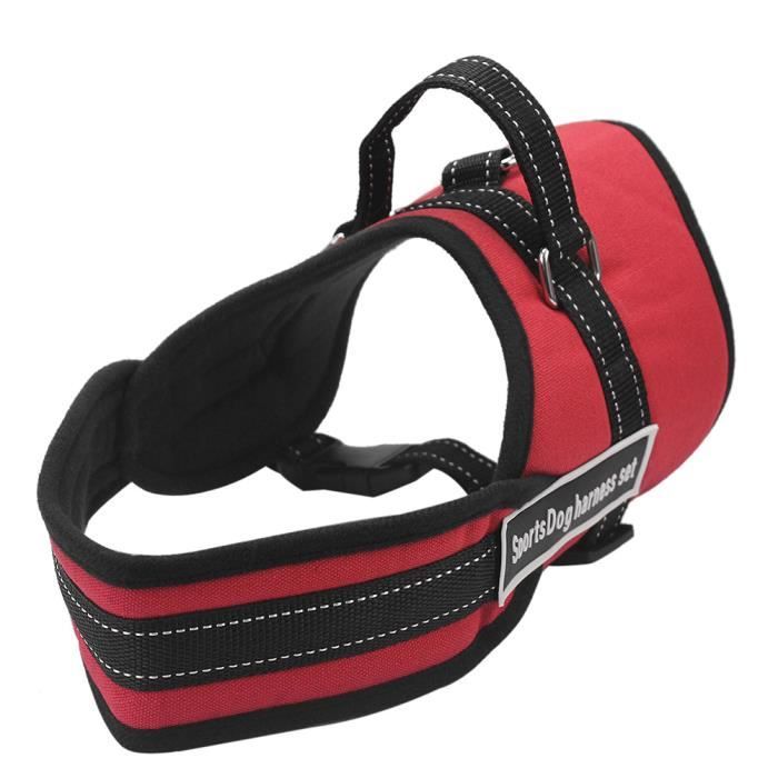 Animaux Collier sangle Harnais Promenade Nylon Courroie Animaux Collier sangle Harnais Promenade Nylon Courroie