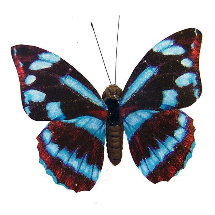 Papillons Aimantés Turquoise Vendu par 3Papillons avec 2 aimants