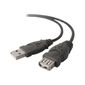 CABLE ET CONNECTIQUE POUR PERIPHERIQUE Belkin PRO Series - Câble Rallonge USB