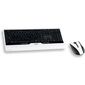 Ensemble sans fil clavier + souris eVolution ORCA