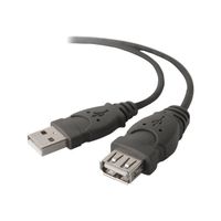CABLE ET CONNECTIQUE POUR PERIPHERIQUE Belkin PRO Series - Câble Rallonge USB