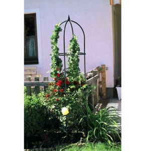 Colonne pour roses 185x40cm