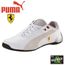 BASKET MODE Future Cat M2 Ferrari Chaussure Blanc