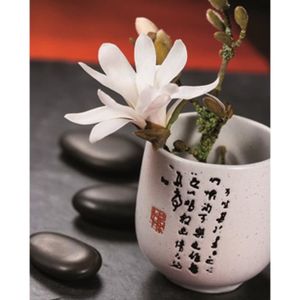 Affiche papier - Composition Zen : Magnolia Stella. - Beyler - 24x30 cm