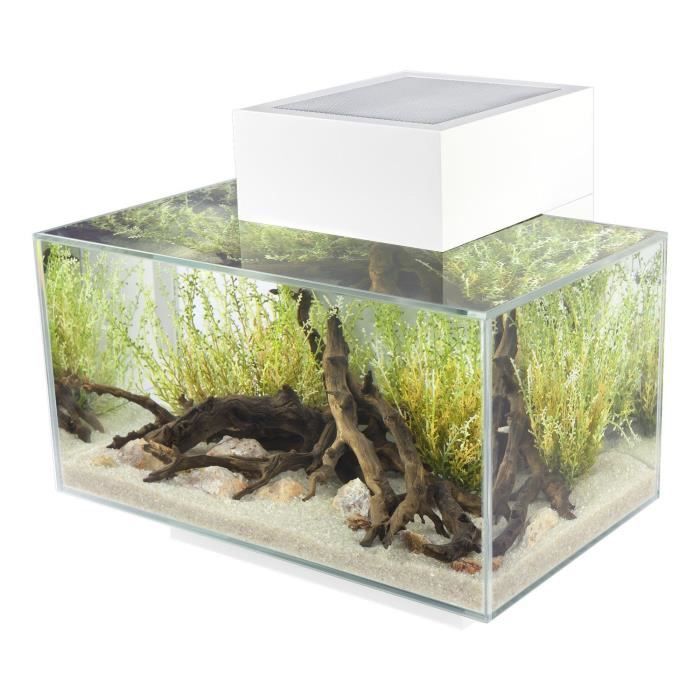 EDGE aquarium 23 L blanc brillant Achat / Vente aquarium Aquarium