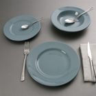 COUVERTS - MENAGERE Service 12 pièces faience VERT DE GRIS