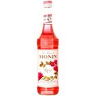 SIROP Bouteille de sirop Monin rose