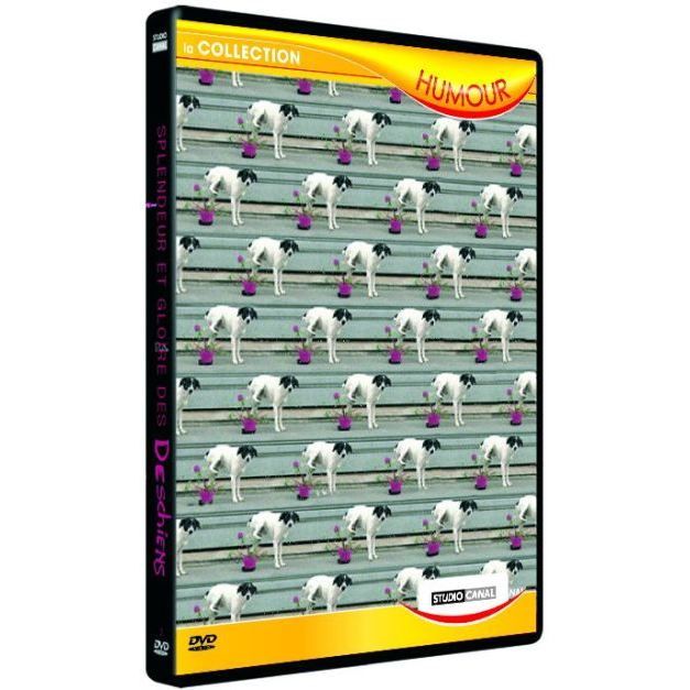 dvd florence foresti tout essaye dvd florence foresti tout essaye