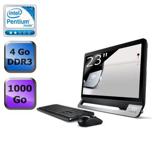 ORDINATEUR TOUT-EN-UN Packard Bell ONETWO L D5103 FR