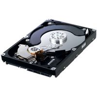 DISQUE DUR INTERNE Samsung SpinPoint F1 750 Go SATA II 32 Mo