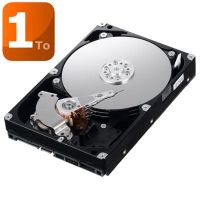 DISQUE DUR INTERNE Samsung SpinPoint F1 1 To 32 Mo 3.5"