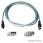 CABLE FIREWIRE Belkin - Câble IEEE 1394
