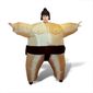 DEGUISEMENT - PANOPLIE Costume de SUMO Gonflable - Tissu léger + gonfleur