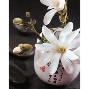 Affiche papier - Composition Zen : Magnolia Stella. - Beyler - 24x30 cm