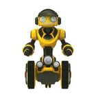  Mini Roborover