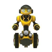 Mini Roborover