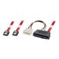 CABLE E-SATA Lindy - Câble SATA interne SFF-8482 + Molex 0,5m