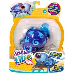 Tortue Surfy la surfeuse