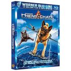 DVD FILM Blu-Ray Comme chiens et chats 