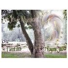 RELIGION / ESOTHERISME Je de l'ascension ou le tarot des 7 rayons sacrés