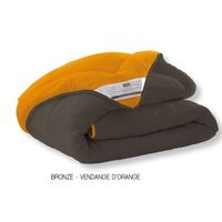 COUETTE Couette Reversible Bicolore 220x240cm BRONZE