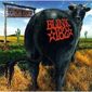 CD BLINK 182