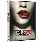 DVD SERIE TV DVD True Blood, saison 1
