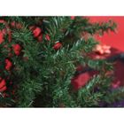 SAPIN DE NOEL - ARBRE DE NOEL Sapin 180 cm
