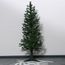  Sapin 210 cm 618 branches