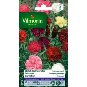 VILMORIN Oeillet des fleuristes Triomphe varié