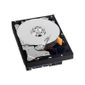  WD AV-GP WD5000AVDS - disque dur - 500 Go