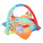 TAPIS EVEIL-AIRE BEBE WINNIE Tapis d'éveil