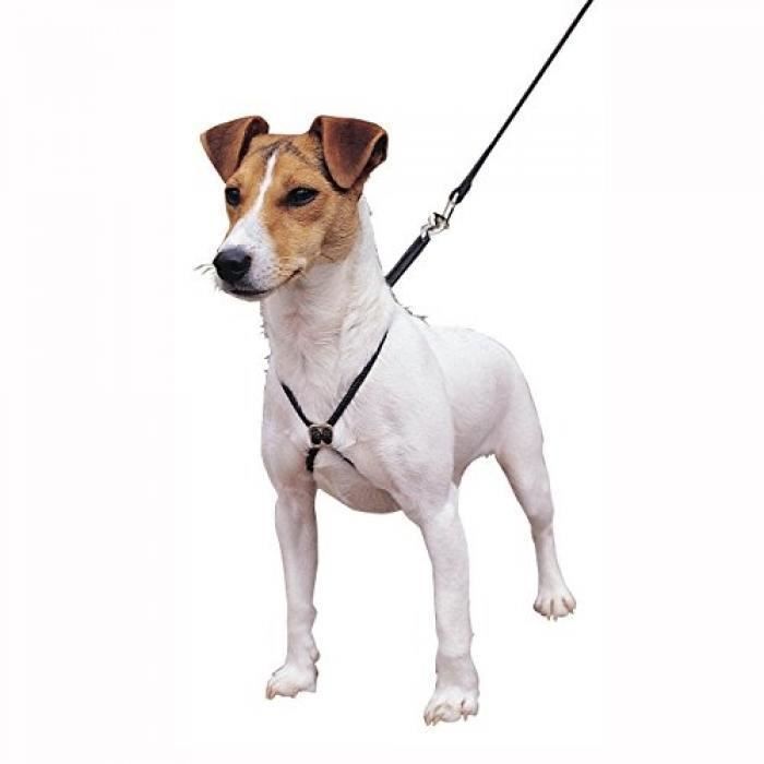 Harnais de dressage chien - Achat / Vente Harnais de Harnais de dressage chien - Achat / Vente Harnais de