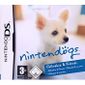 JEUX DS NINTENDOGS CHIHUAHUA