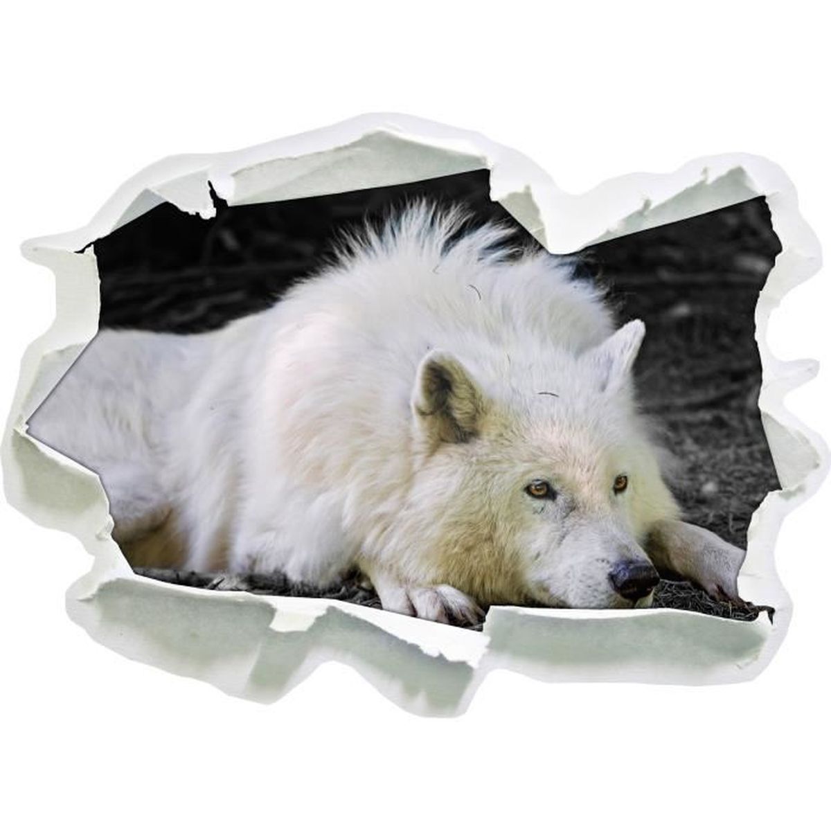 Dormance polarwolf noir / blanc, mur 3d de la taille du papier ...