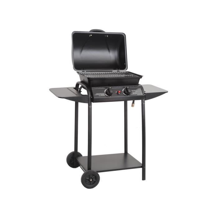 barbecue gaz 100 euros