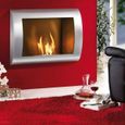 cheminee bio ethanol murale kamin maxx