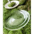 ASSIETTE - SOUS-ASSIETTE - SERVICE COMPLET LUMINARC "GREEN TABLE OXYGEN" lot de 12 assiettes