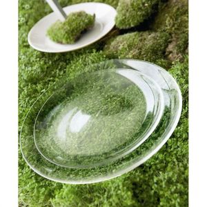 ASSIETTE - SOUS-ASSIETTE - SERVICE COMPLET LUMINARC "GREEN TABLE OXYGEN" lot de 12 assiettes